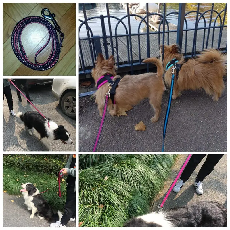 Pet-Dog-Collar-Leash-Set-Dog-Leash-Rope-For-Small-Reflective-Puppy-Collar-Lead-Cat-Pitbull (3)