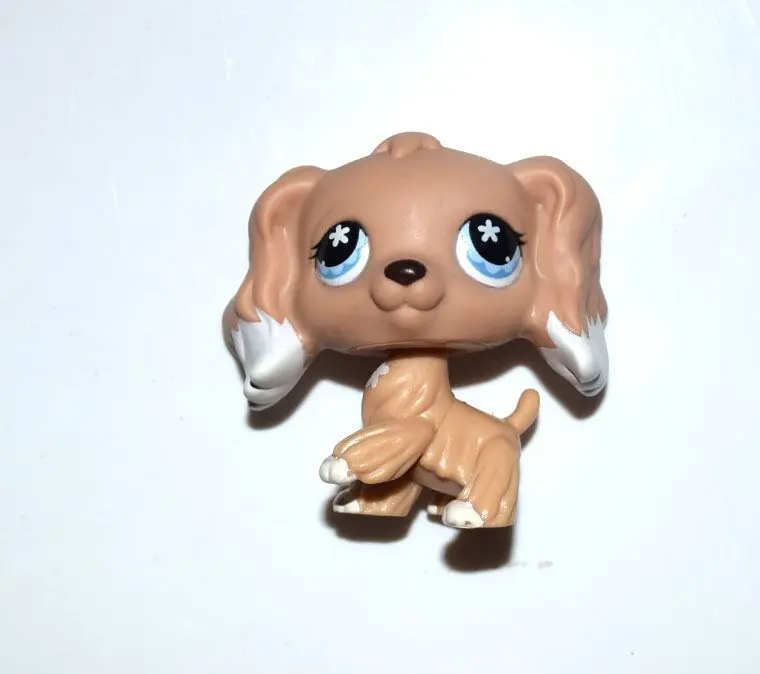 pet shop long mile road