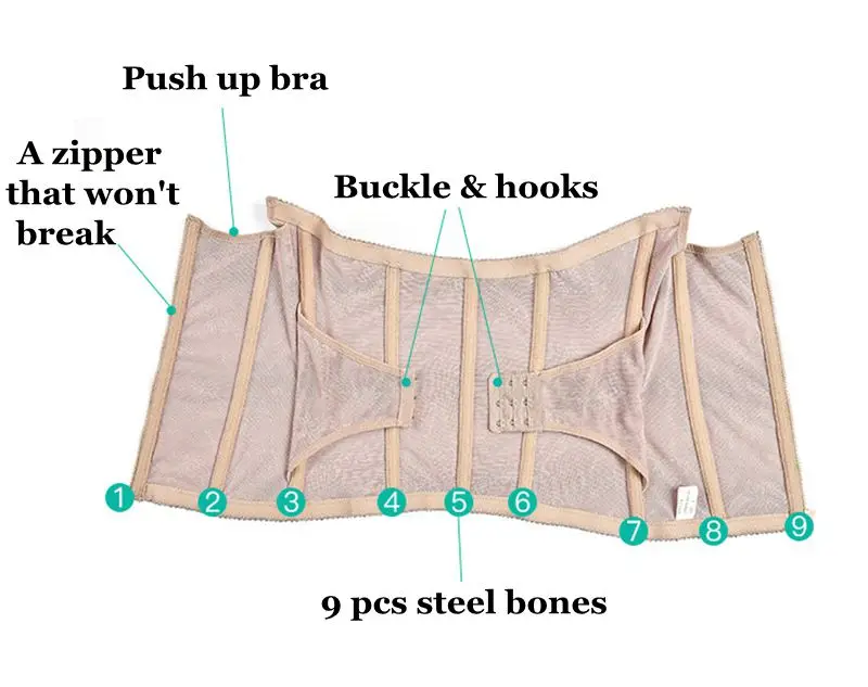 waist trainer (11)