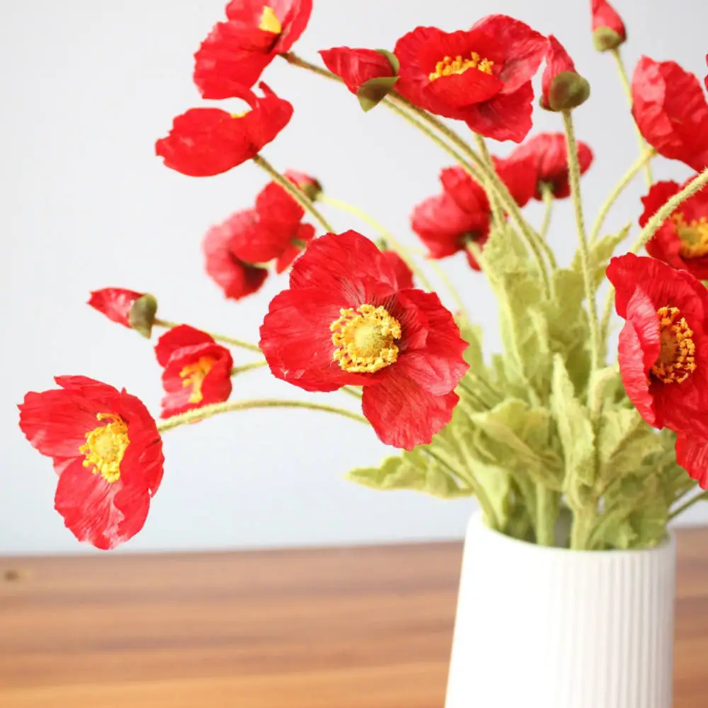 IMG_6640_conew1