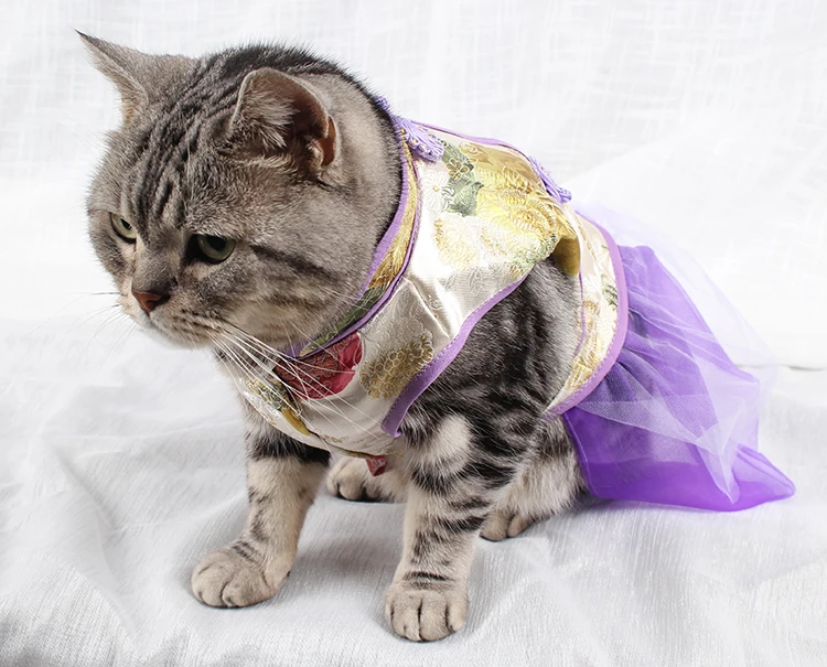 dog clothes (11)