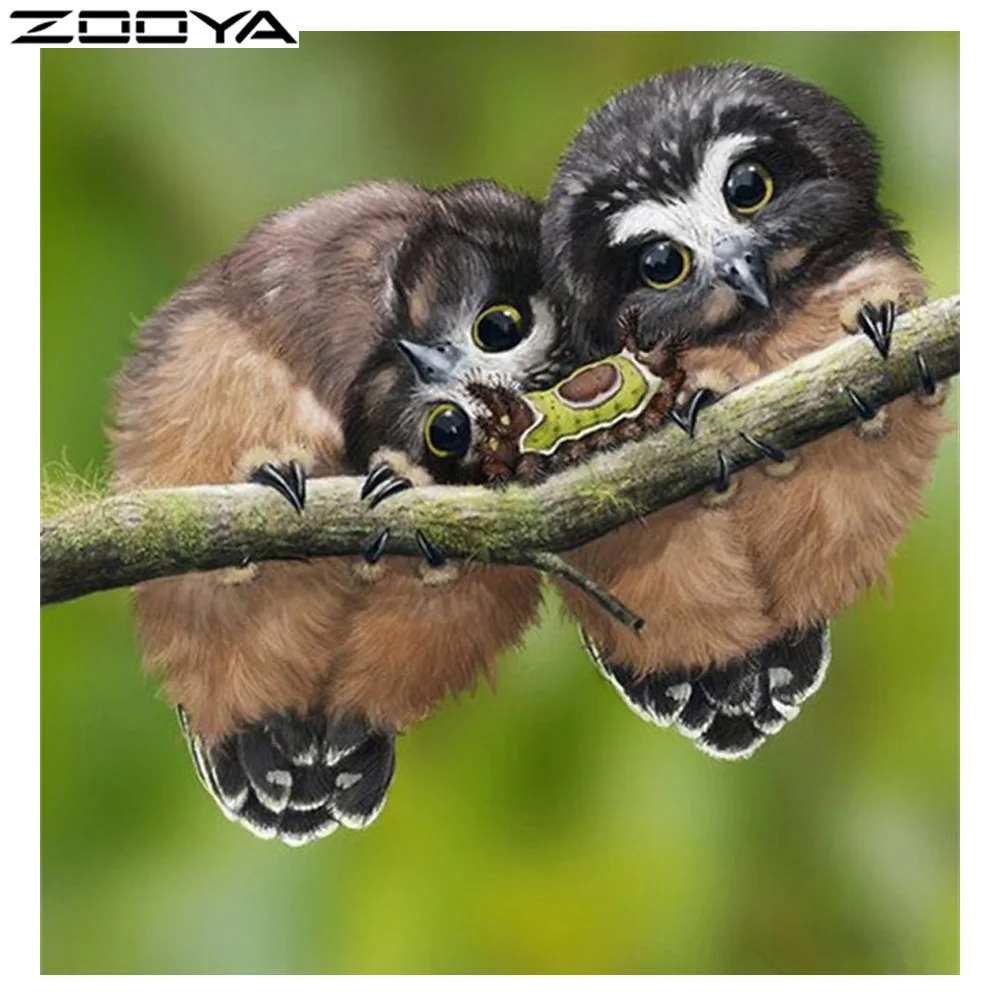 ZOOYA Алмазная вышивка с изображением совы Детская домашняя декоративная