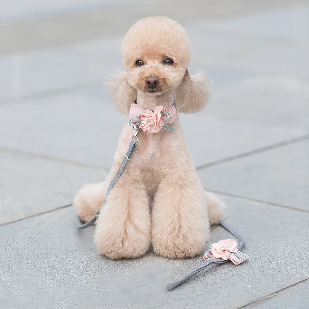 

Dogs Collars And Harnesses Cat Dog Pet Leash with Bow-knot Collar Lovely Hauling Cable Collar Leads Collars Traction Belt Suit