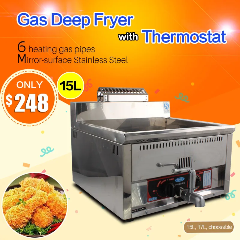 Commercial LPG 15L Single Tank French Fries Gas Fryer Stainless Steel