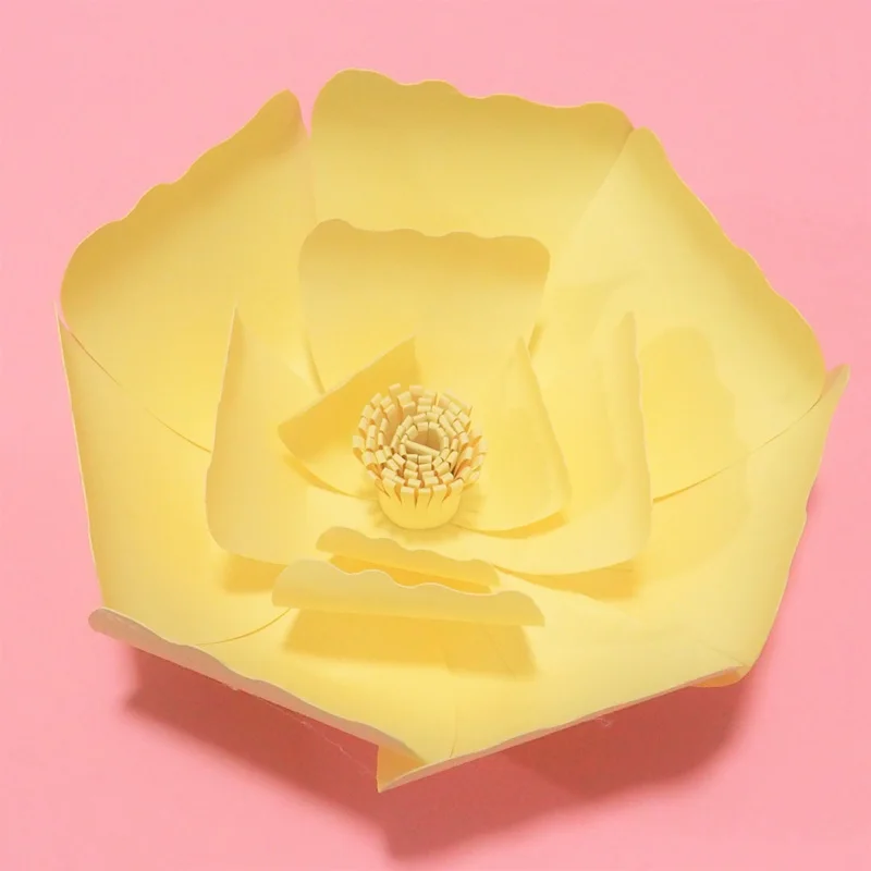 P4302600