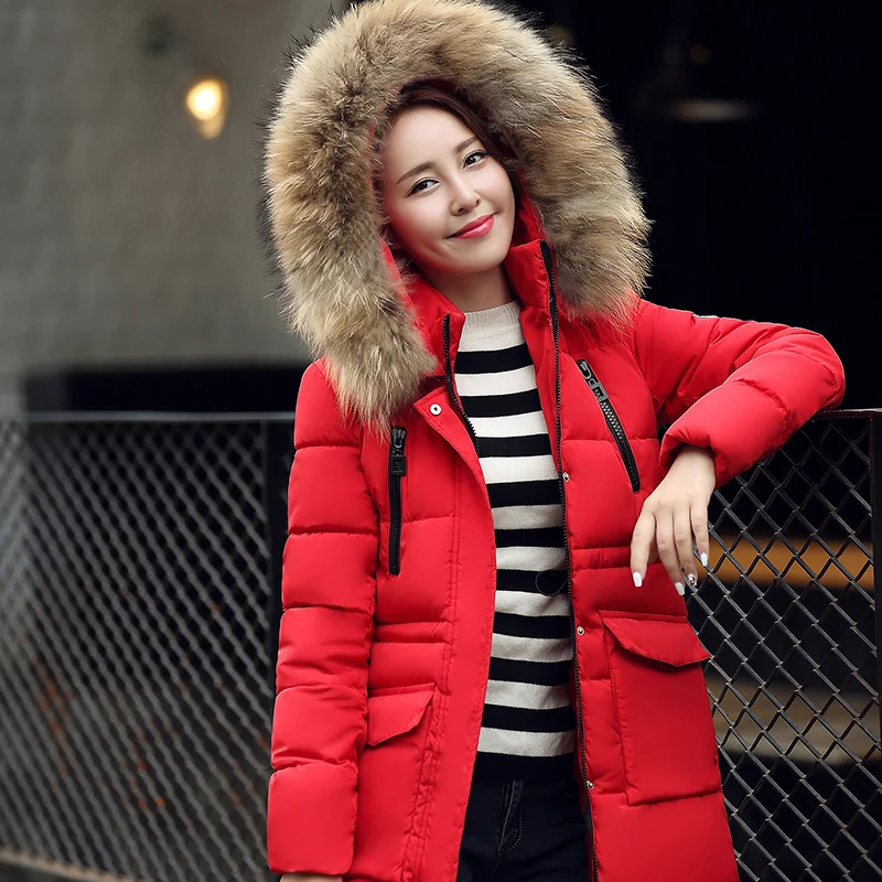 Winter Jacket women parkas mujer 2018 Thicken Warm long
