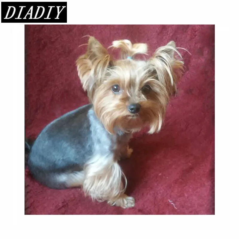 

Diy Diamond Painting dog Yorkshire Terrier 3d round Rhinestone Diamond mosaic painting beads Full Diamond embroidery Animals
