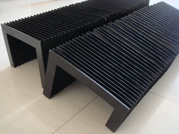 Accordion  shield.jpg