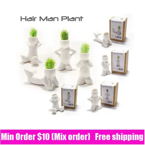 

DIY Mini Bonsai Magic grass planting, desktop plants,Creative Gift Hair man Mini Plant Fantastic Home and Office Decorative