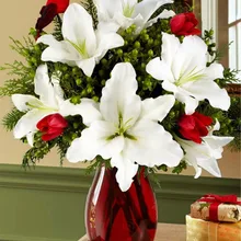 Белая лилия вставка в красном DIY живопись по номерам 24 цвета пигментная кисть Искусство Ручная роспись креативная цифровая картина маслом