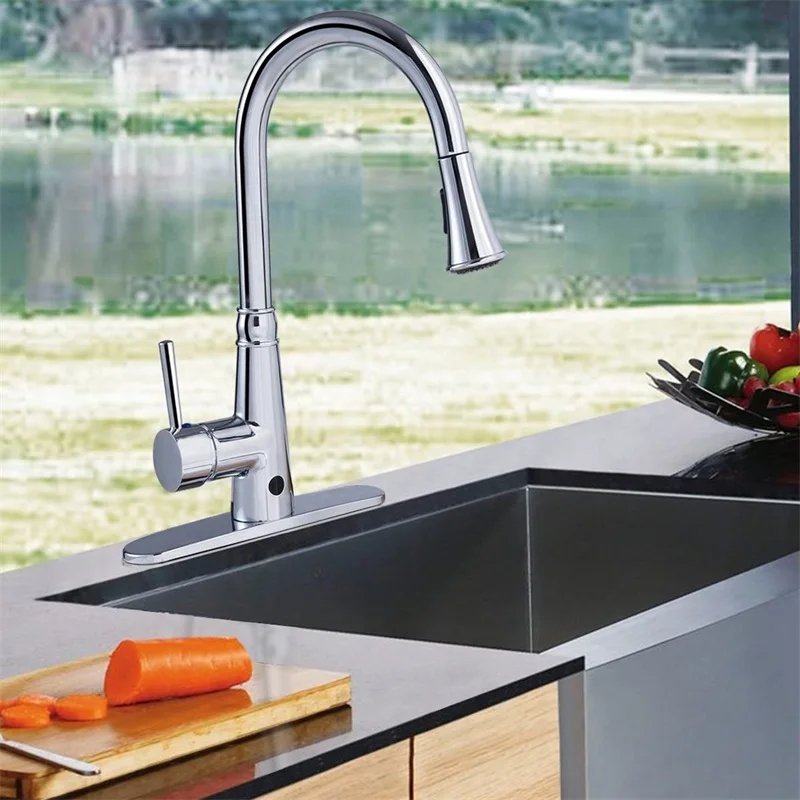 Pull Down Single Handle Dual Spray Chrome Kitchen Faucet Anti