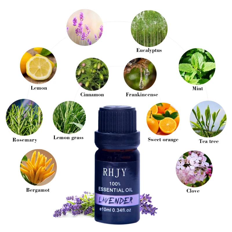 الروائح العطر زيت طبيعي للذوبان في الماء النقي 100% الطبيعي النعناع روزماري المسك العطر النفط العناية بالبشرة الروائح العطر زيت طبيعي للذوبان في الماء النقي 100% الطبيعي النعناع روزماري المسك العطر النفط العناية بالبشرة