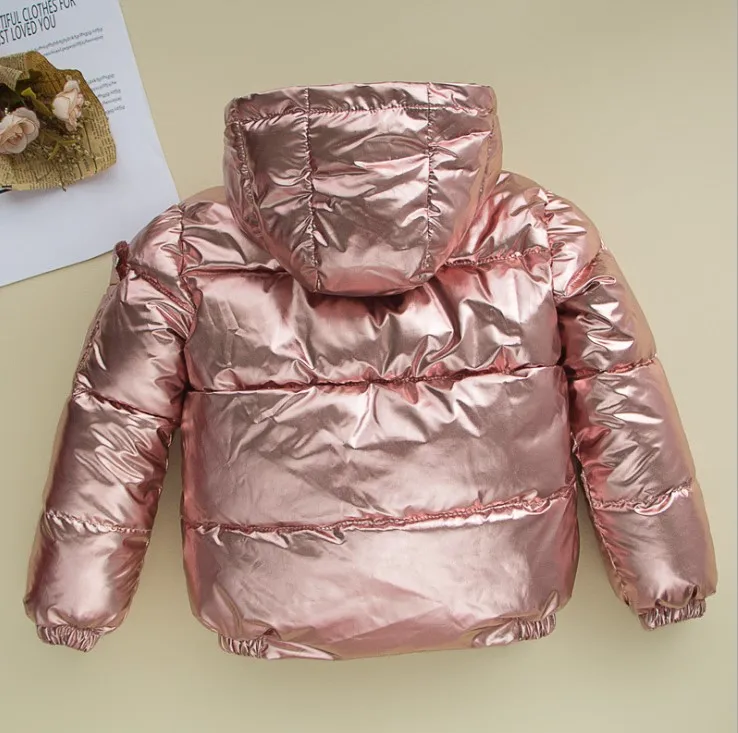 Новая зимняя детская одежда с серебряной подкладкой, детская одежда с хлопковой подкладкой, короткое пальто с подкладкой, куртка с капюшоном для мальчиков и девочек - Цвет: Розовый