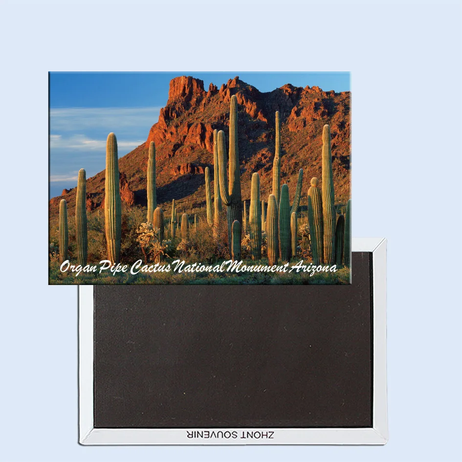 

Tourist Souvenirs,Fridge Magnetic,Exquisite Gift 24588, Alamo Canyon, Organ Pipe Cactus National Monument, Arizona