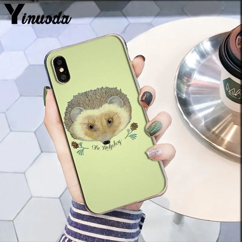 Darcy hedgehog Sheep