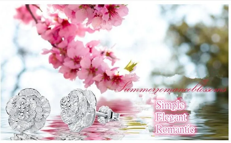 bonsai flower cherry blossoms (4)