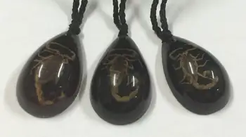

FREE SHIPPING 18 pcs real golden scorpion pendant cool black drop style jewelry specimen