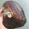 2017 en gros nouveau à la mode perles d'eau douce emballage sous vide réel naturel perle huîtres gros monstre huîtres cadeau de noël ABH728 ► Photo 2/6