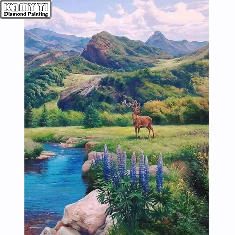 54 - 