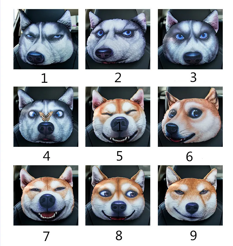 8717569582_935368411_