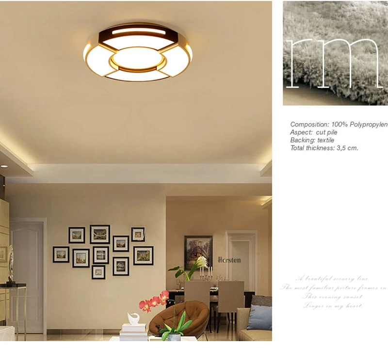 Creative Round Acrylic LED Ceiling Lights For Bedroom Living Room Modern Remote Control Ceiling Lamp Home Lighting Fixture (3)