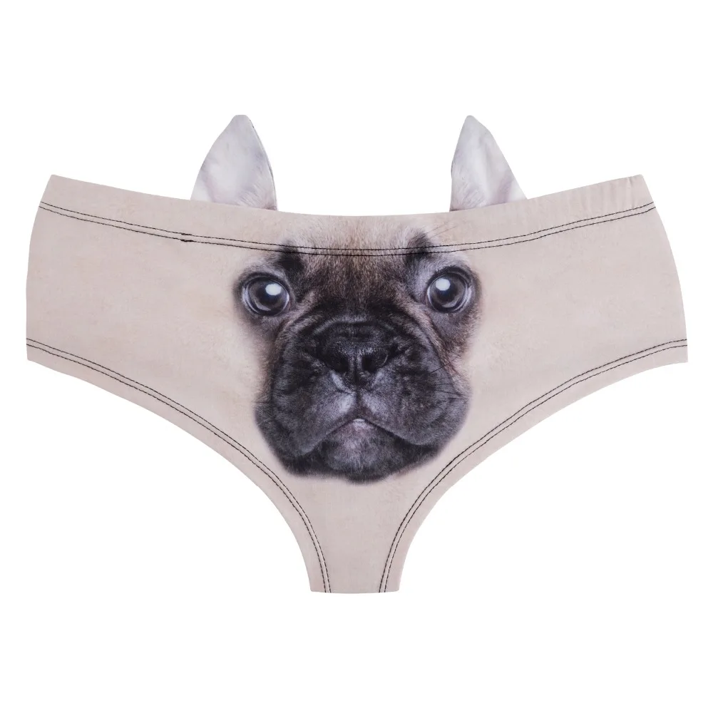 41069 french bulldog (2)