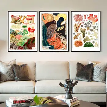 

Vintage The Great Barrier Reef Encyclopedia Posters Molluscs Planarians Classic Canvas Paintings Wall Stickers Nursery Decor