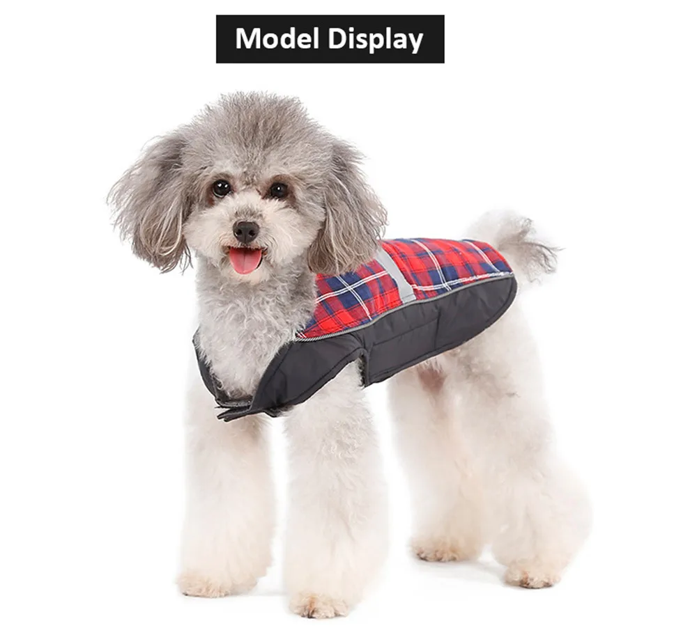 Dog Clothing (27)