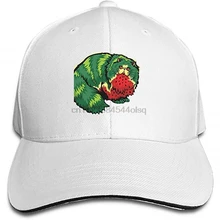 Бейсболка с изображением кота арбуза, плоская кепка, регулируемая бейсболка s для мужчин и женщин