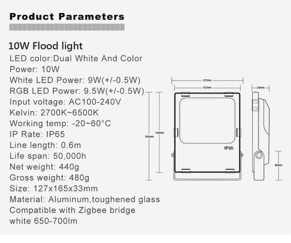 220V LED Floodlight