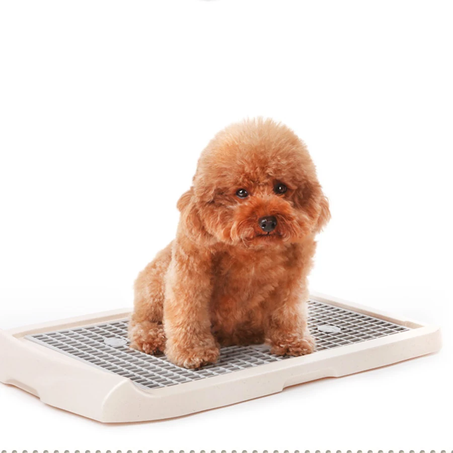 

Dog Toilets Pee Training Large Pets Bedpan High Quality Doggy Toilet Toilette Chiot Clear Up Orinal Portatil Pet Utensil 80Z1909