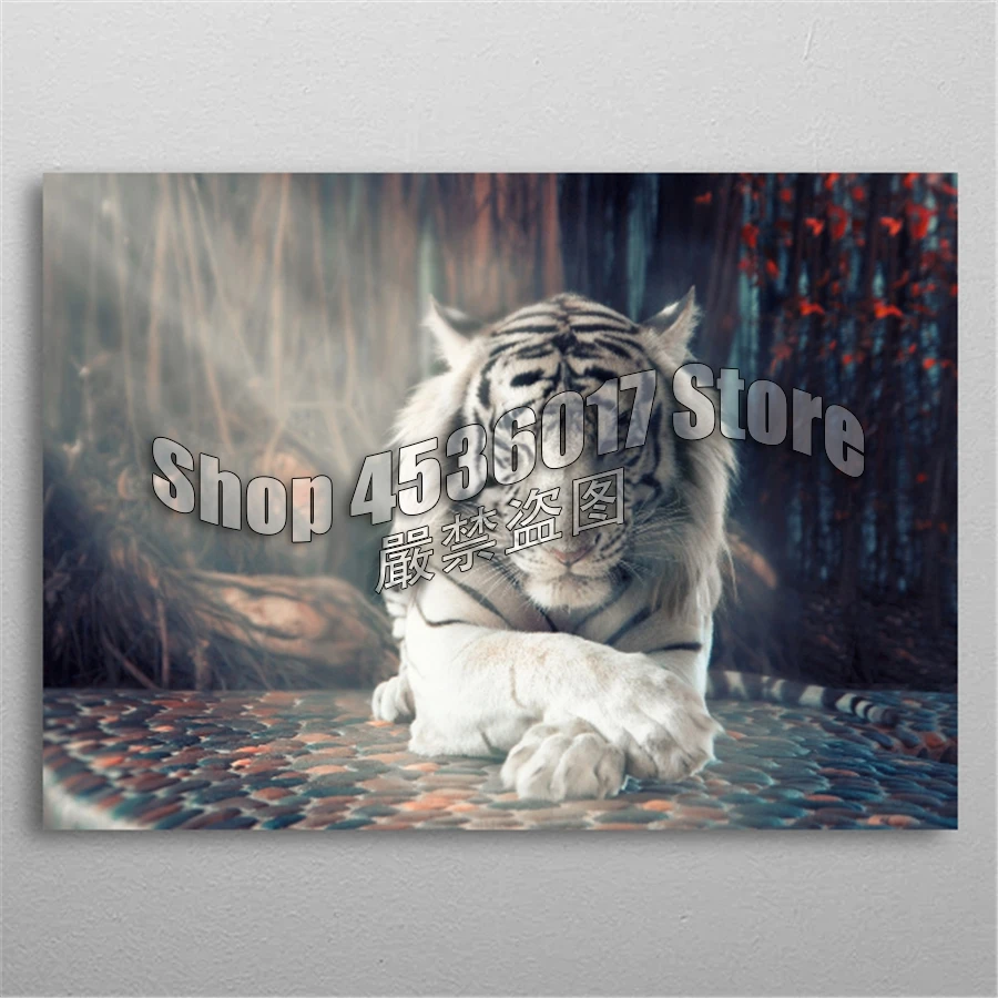 

5D DIY Diamond Painting Full Diamond Embroidery animal White tiger Diamond Mosaic Cross Stitch Home Decor Arts & Crafts Supplies