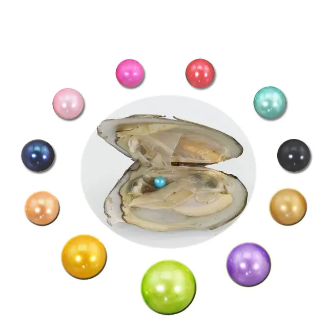 Wholesale Freshwater Oysters with Colored Pearls 6 7MM/7 8MM Round Dyed Akoya Single Pearl in