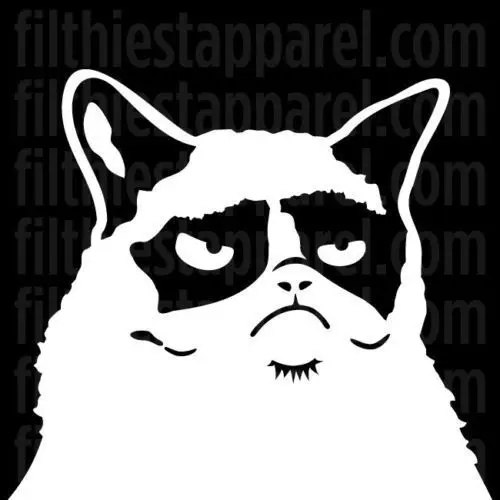 

car styling Grumpy Cat Funny Truck Hunting Diesel Vinyl Decal Sticker iPad Nope Hates