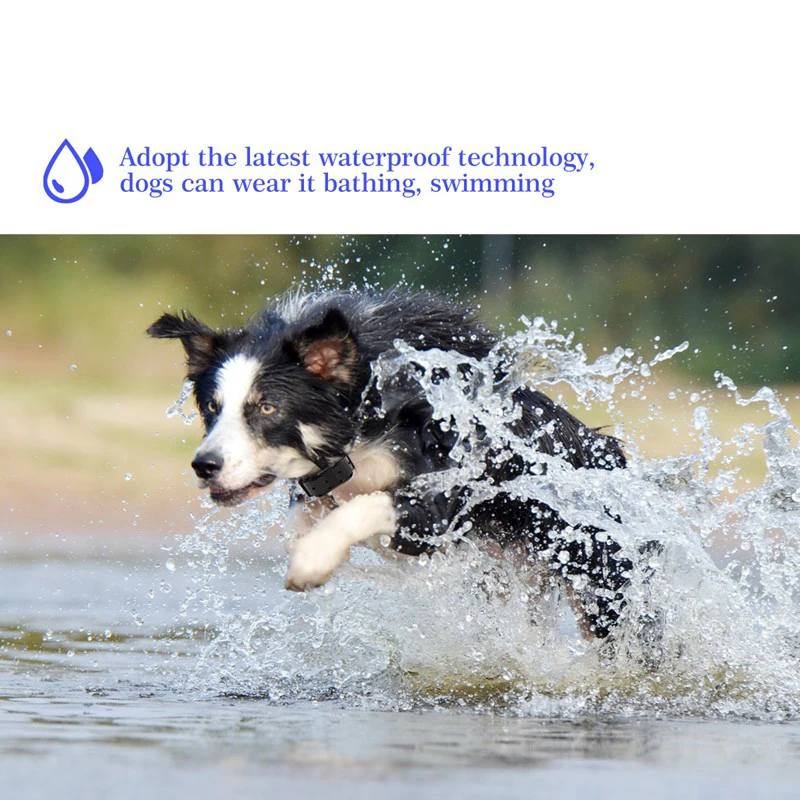 880 Electric Dog Training Collars Waterproof Rechargeable Dog Collar With 800m Remote Control Receiver Pet Training Collars7