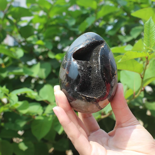 Best Price 470g Natural curvature of the furnishing articles Turtle grain stone egg Ball Septarian nodule Fossil Crystal Healing quartz 17 Best Price 470g Natural curvature of the furnishing articles Turtle grain stone egg Ball Septarian nodule Fossil Crystal Healing quartz 17