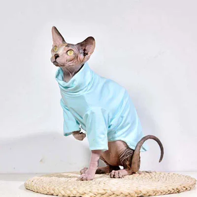 Hairless Sphinx/Одежда для кошек из чистого хлопка; толстовки для кошек с высоким воротником; облегающая блузка с длинным рукавом для осени и зимы; костюм кошки 20E - Цвет: Синий