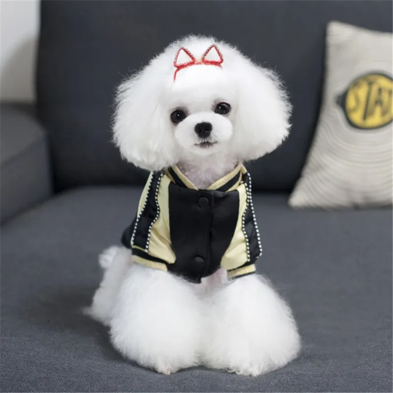 QQ20171106124751