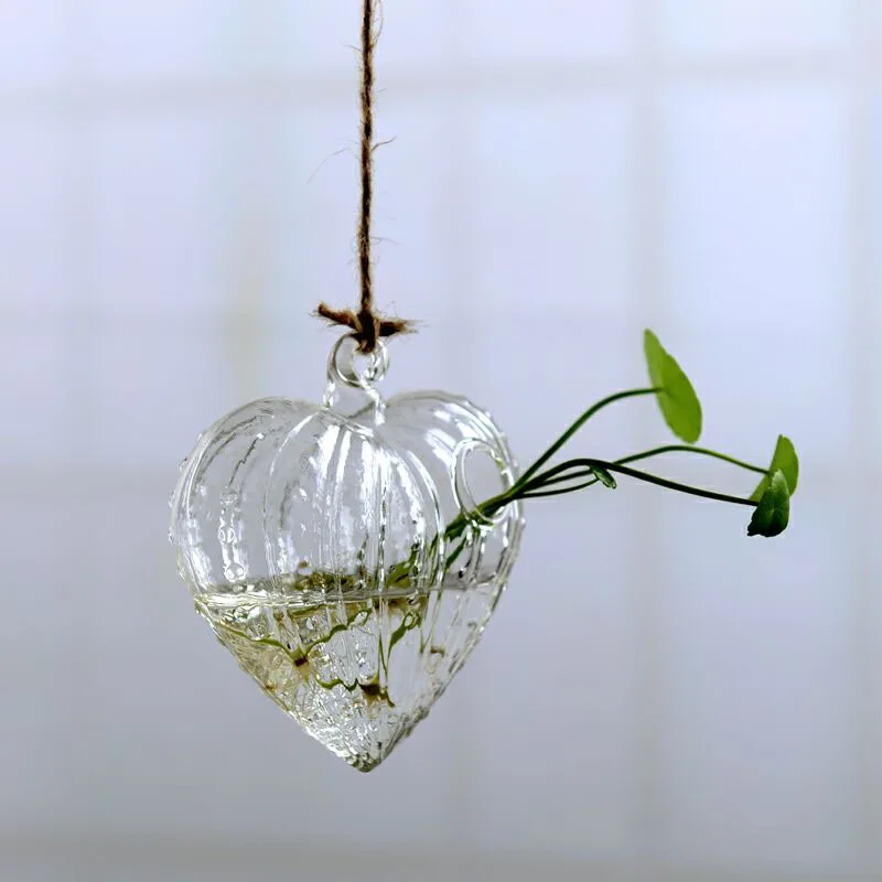 Европейская миниатюрная стеклянная ваза для птиц, подвесная ваза для цветов, стеклянный контейнер для растений, террариума, домашний Свадебный декор, боросиликатное дерево