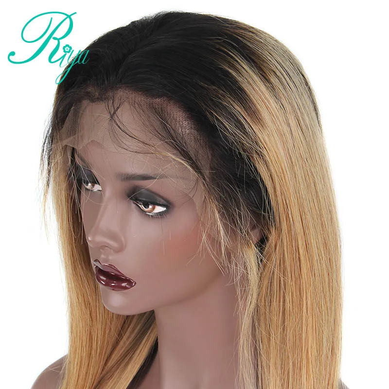 1b 27 colour straight ombre human hair wigs (10)