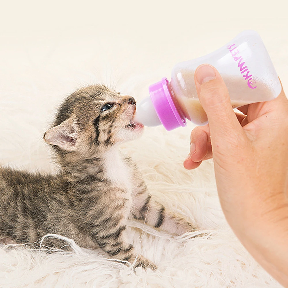 

Silicone pet bottle new kitten feeding bottle set puppies feeding utensils young pet cat dog feeding milk bottle dog feeder set
