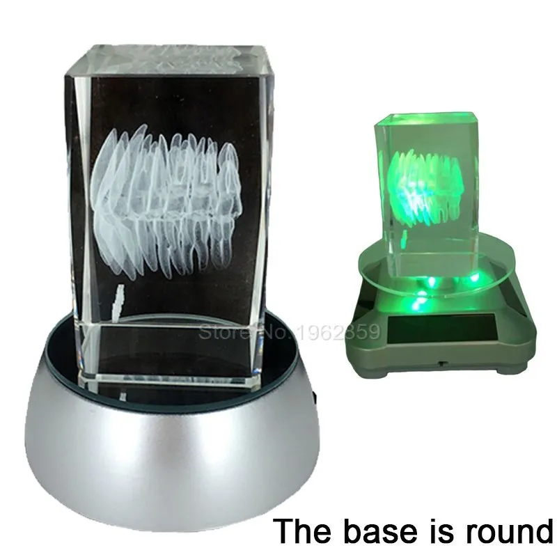 Tooth-Model-Clear-Crystal-Stand-With-LED-Lamp-5