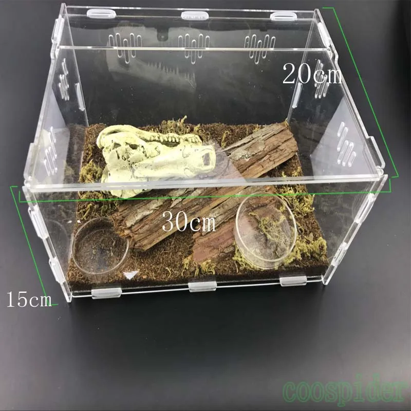 Terrario Acrilico 20x12x12cm - Mini Serra Per Piante | Per Lumache, Ragni, Piccoli Animali | Trasparente - Foto 2