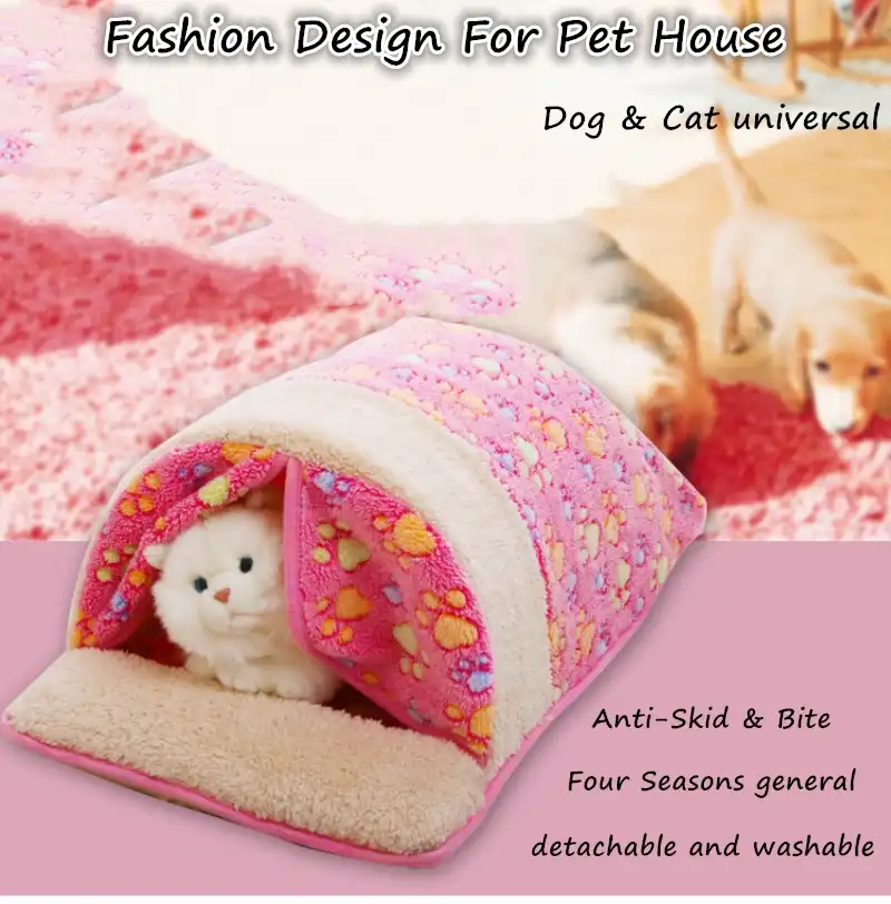 pets at home cats for sale