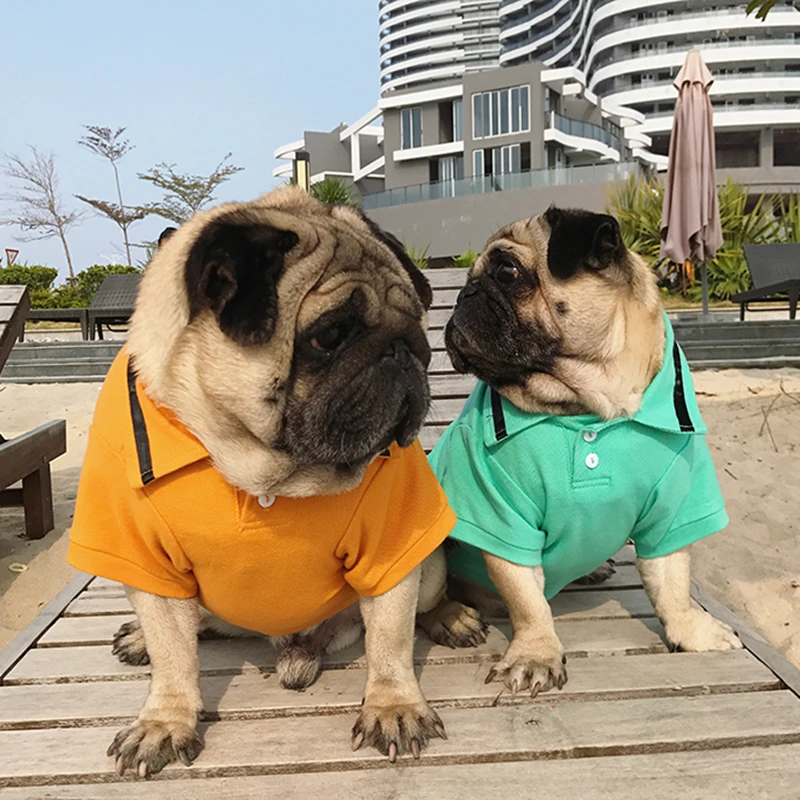 pug polo shirt
