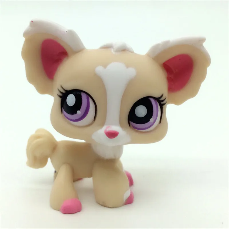 lps102-2