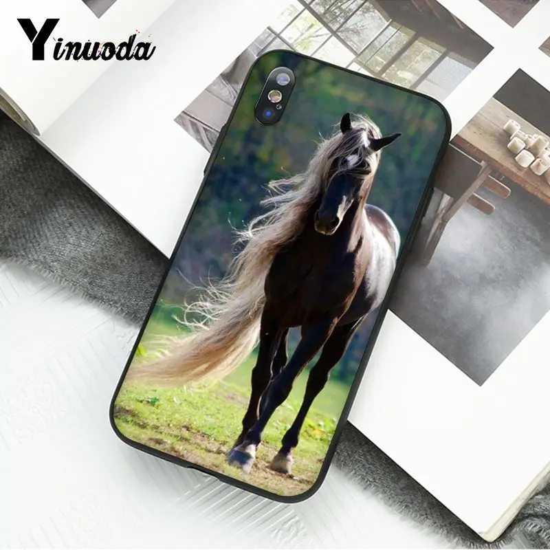Horse Animal Printed