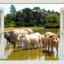 Buy Cow In The Kitchen And Get Free Shipping On Aliexpress