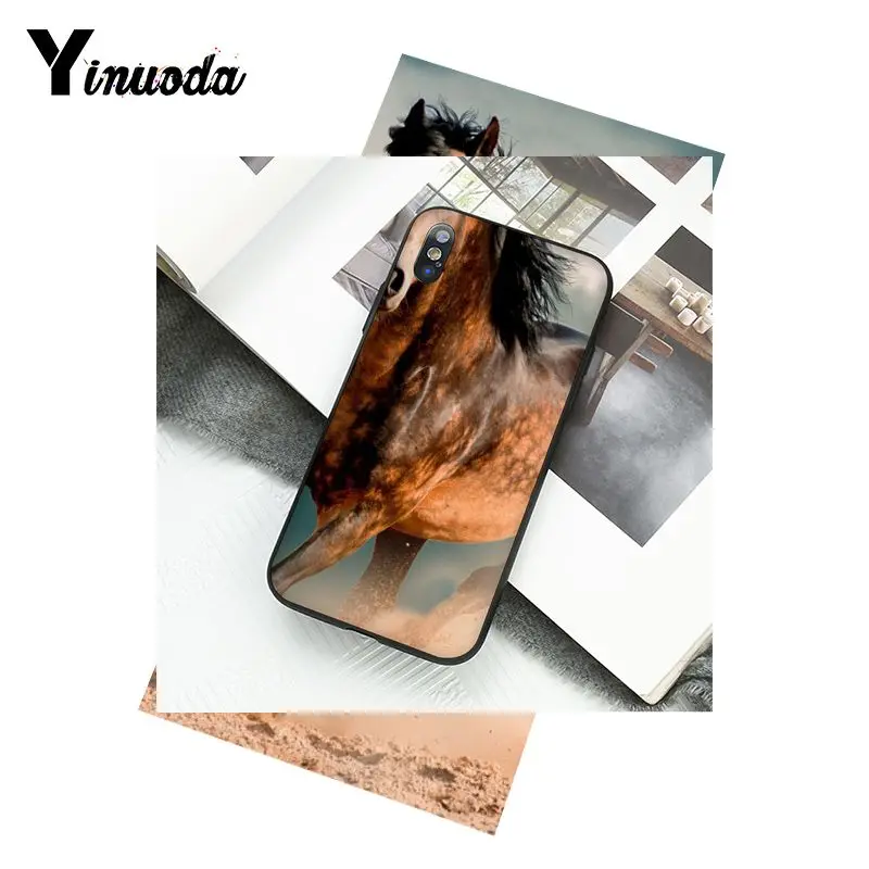 Horse Animal Printed
