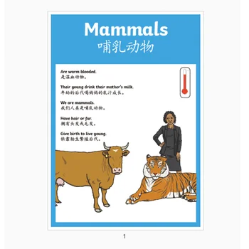 

7Pcs/Set English Chinese Animal Living Poster A4 Big Flash Card Classroom Decoration Early Learning Educational Toys